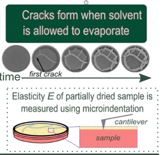 Researchers develop recipe to predict crack emergence in clay, holds promise in improving quality of paints used for coatings Indiawirenow.com