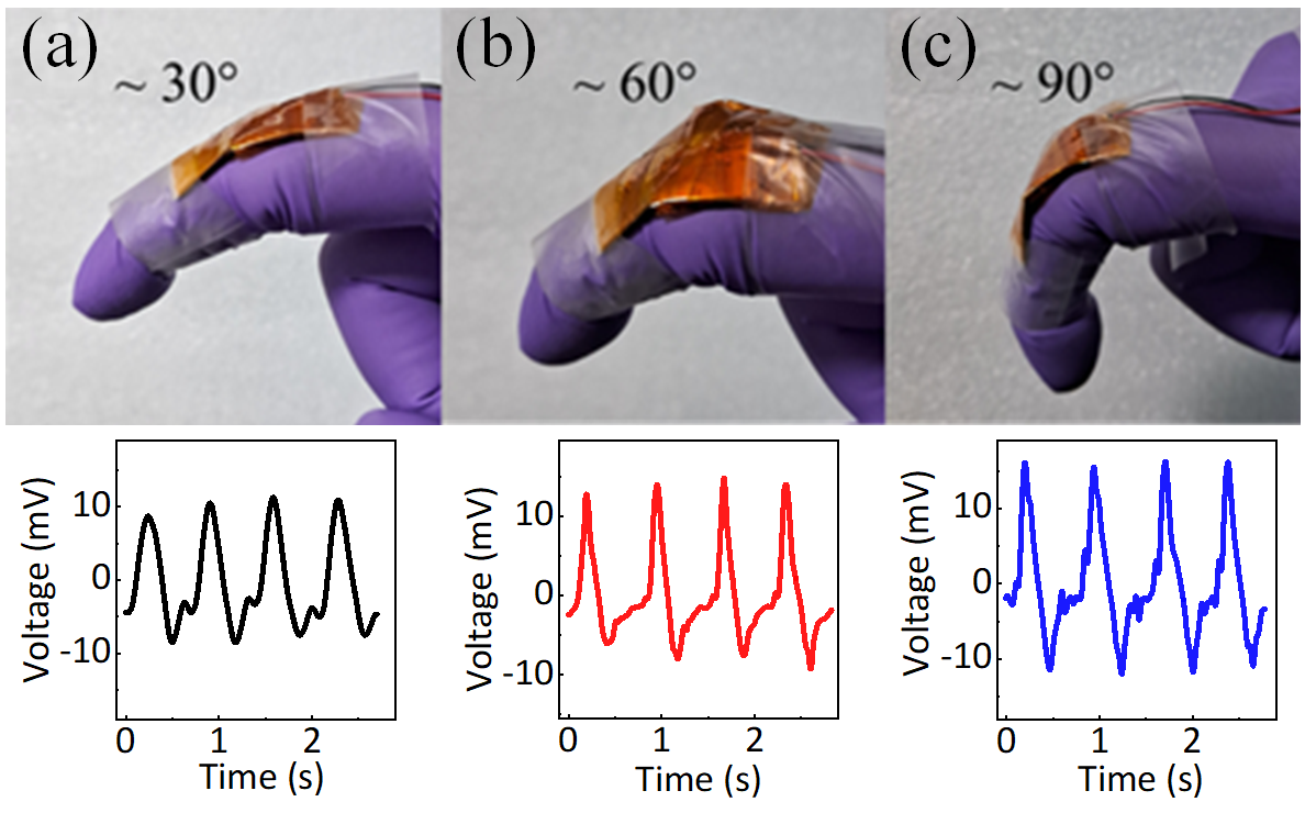 New triboelectric nanogenerator with single crystals of organic compound could be useful for biological applications IndiaWireNOW.com
